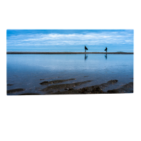 Slim Line Bildheizung inkl. Halterung